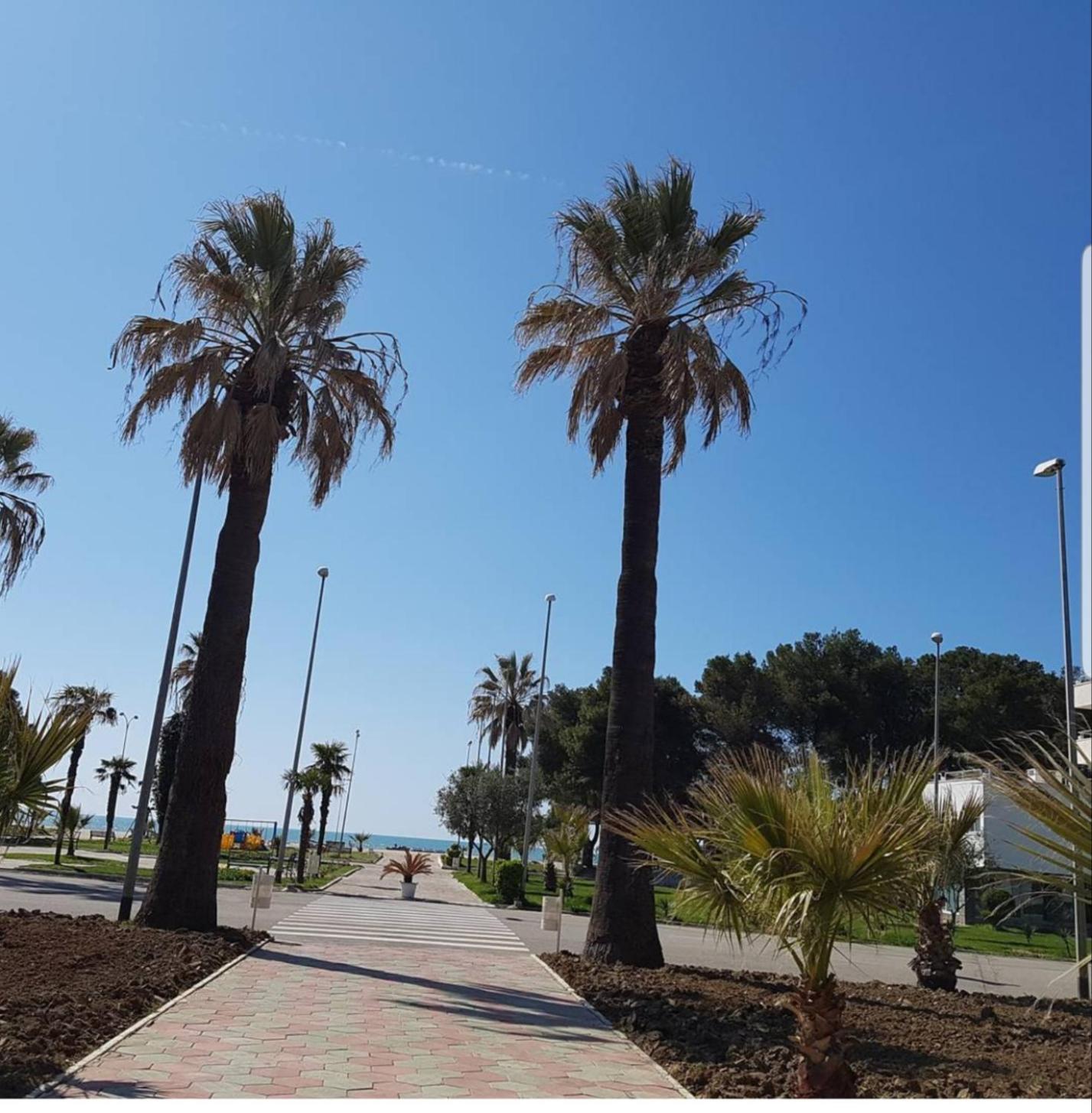 Amaris Apartments Dıraç Oda fotoğraf